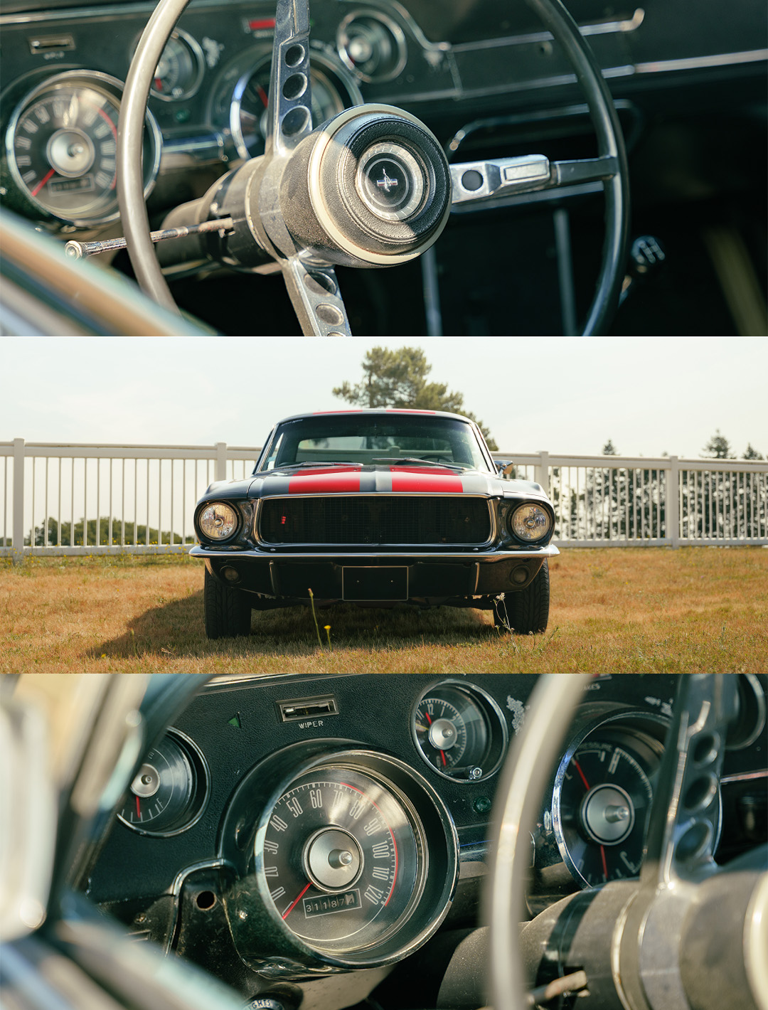 Mustang